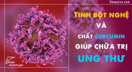 Tinh bột nghệ và chất curcumin chữa trị ung thư